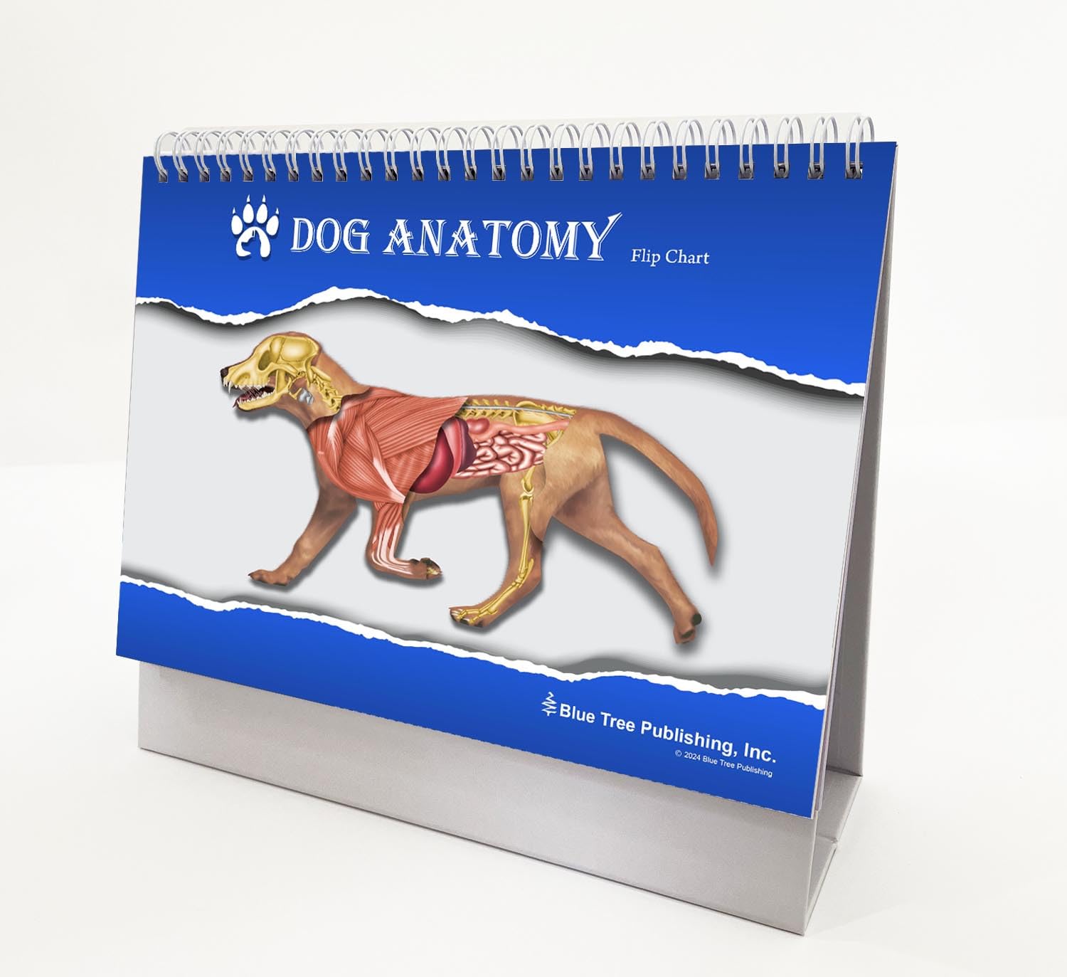 語学・辞書・学習参考書 Veterinary Image Guided Interventions Veterinary Image-Guided Interventions: 9781118378281: Medicine